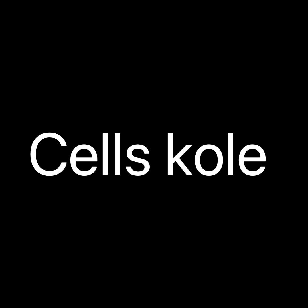 Cells kole 男包