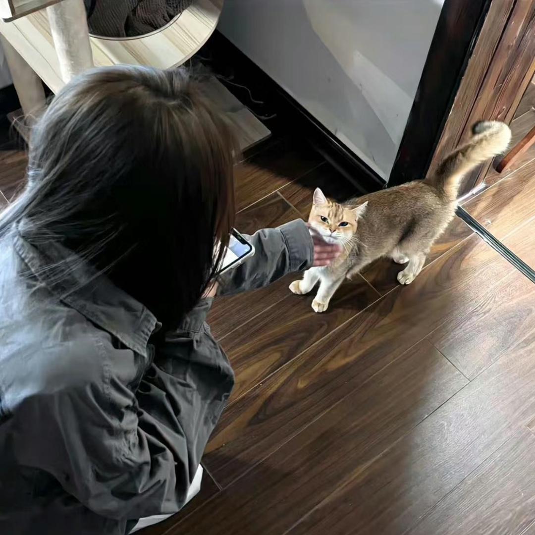 叶婉婷🌟