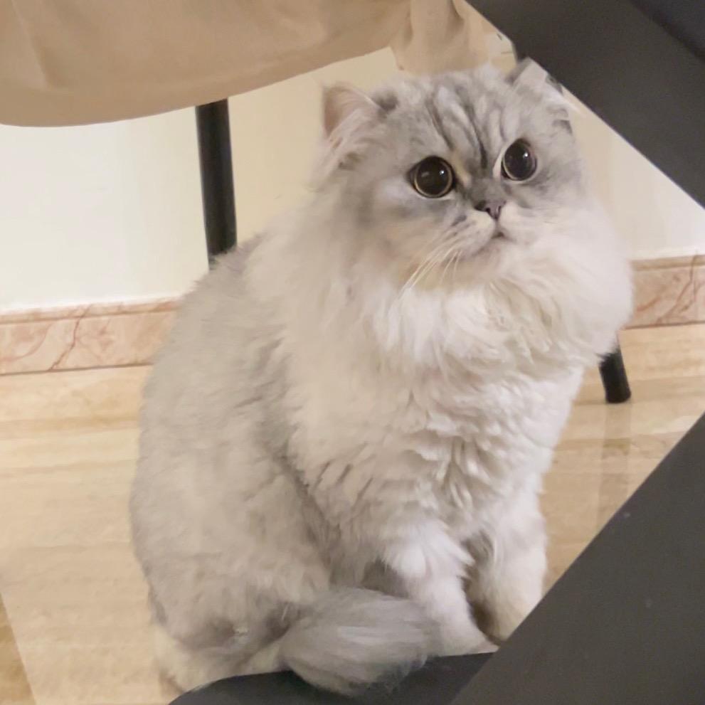 小咔拉妮