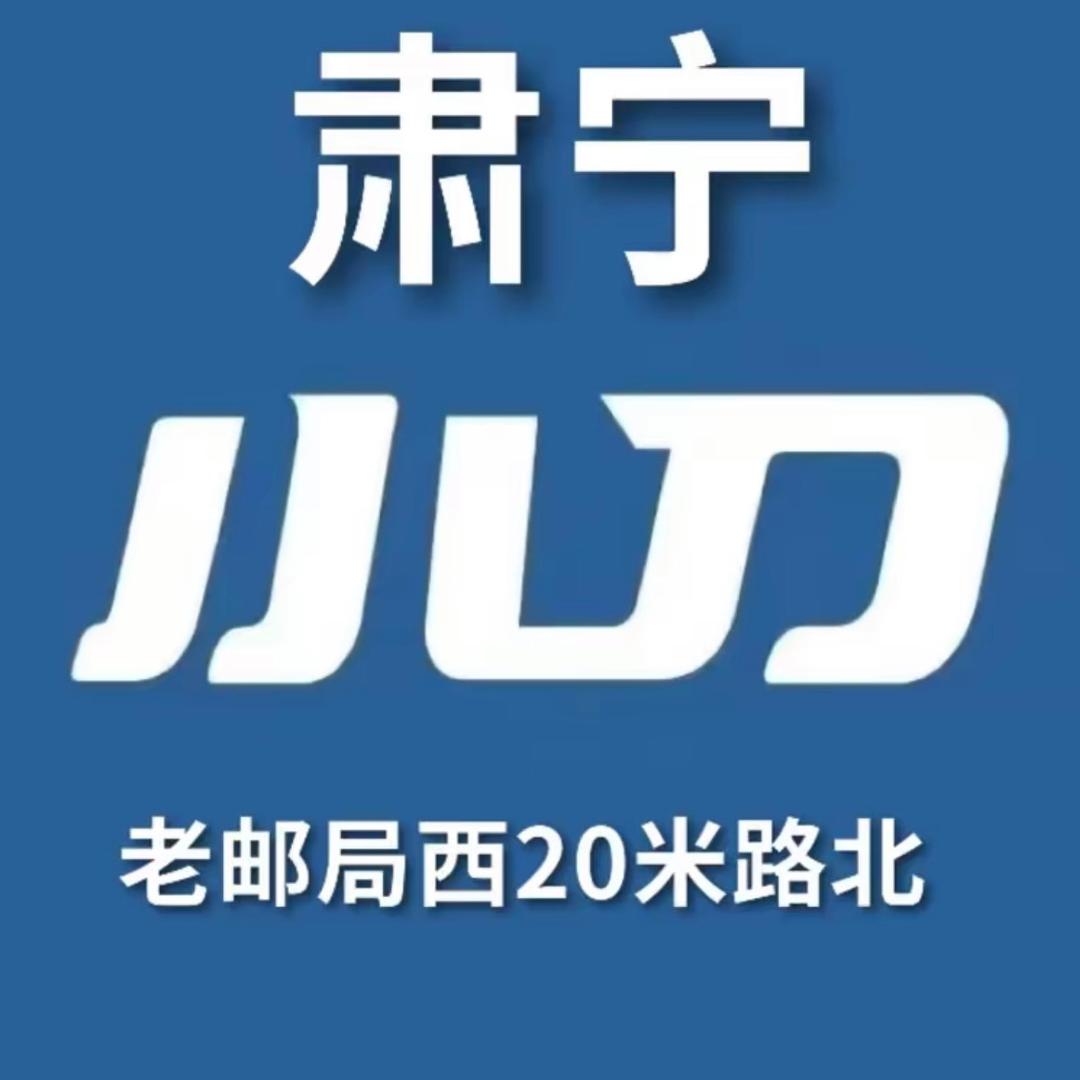 龙哥电车
