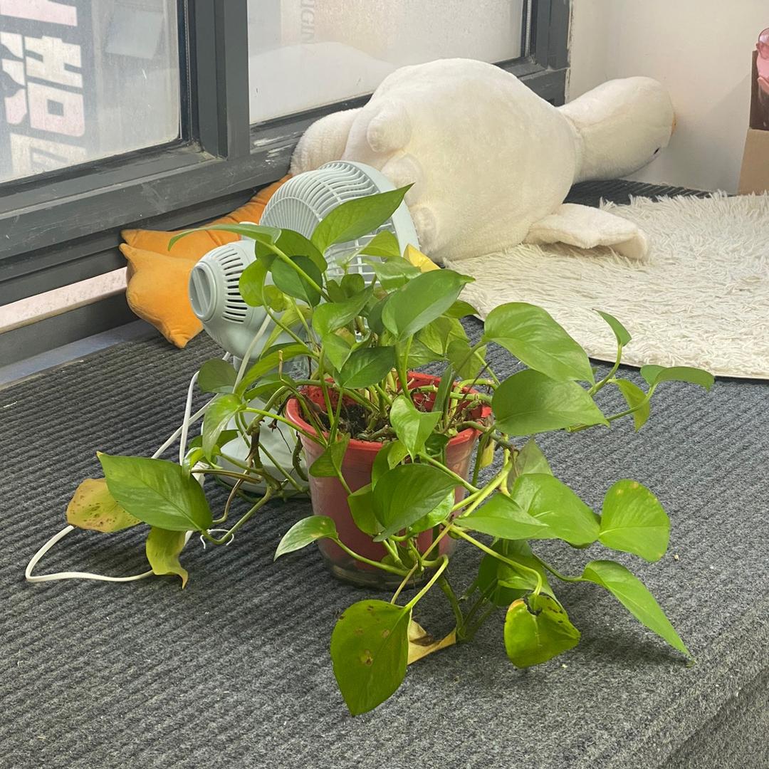 蠡县润腾床上用品厂的小店个体店知绣家纺