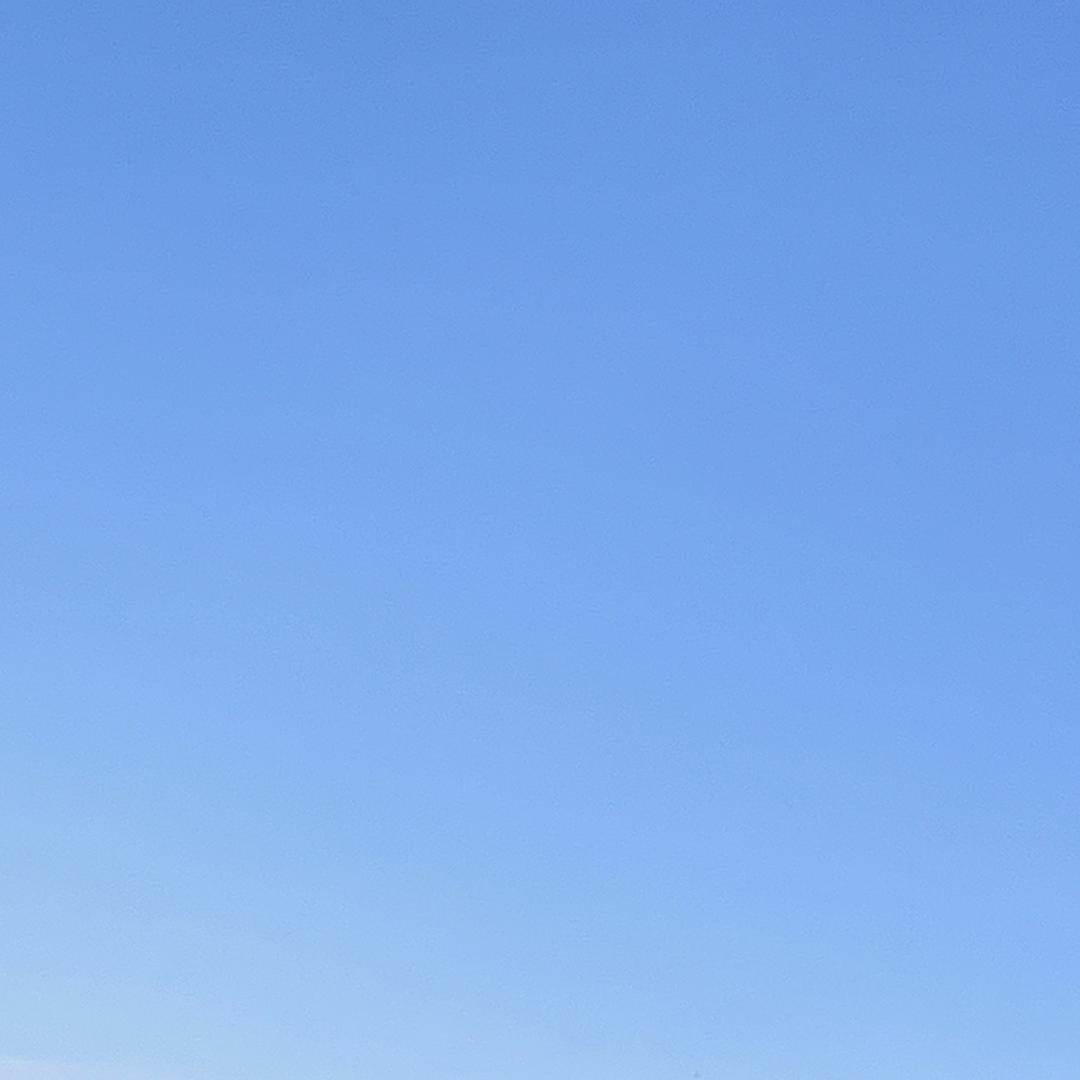 小小的小花园