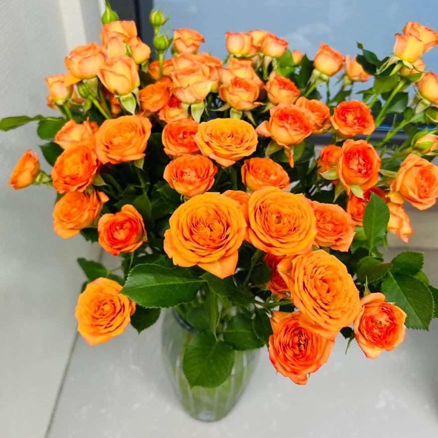 🦋ꦿ᭄໊幸运💞