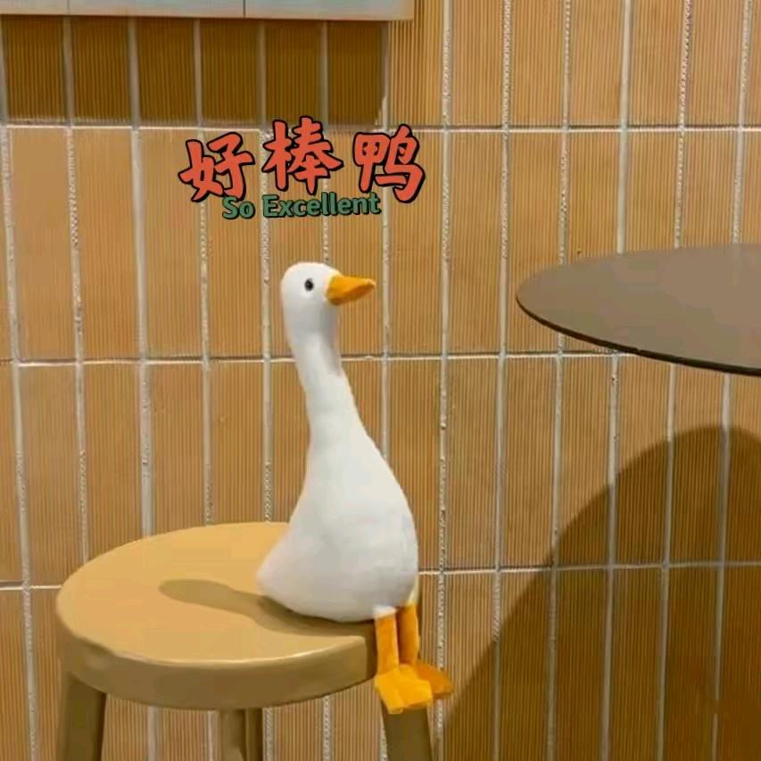 小五奶奶