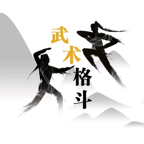 武术格斗