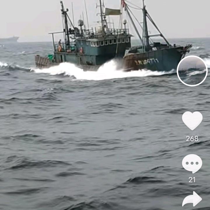 大海631