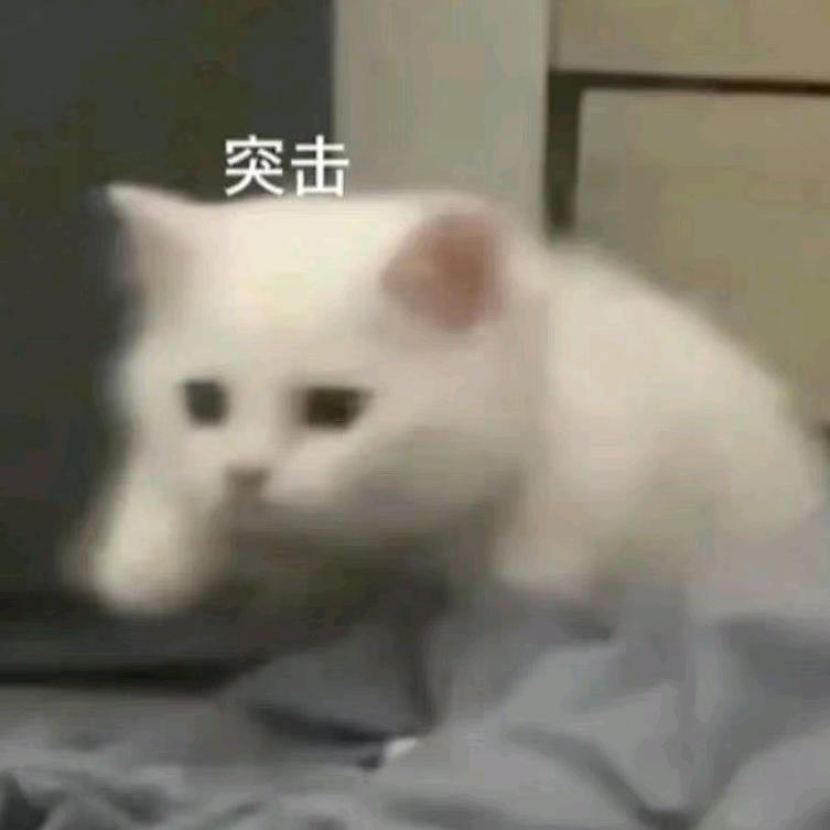 榆意_Trouvaille