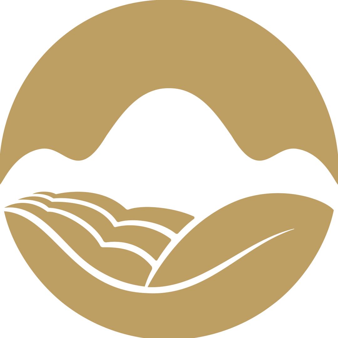 东卓茶叶旗舰店