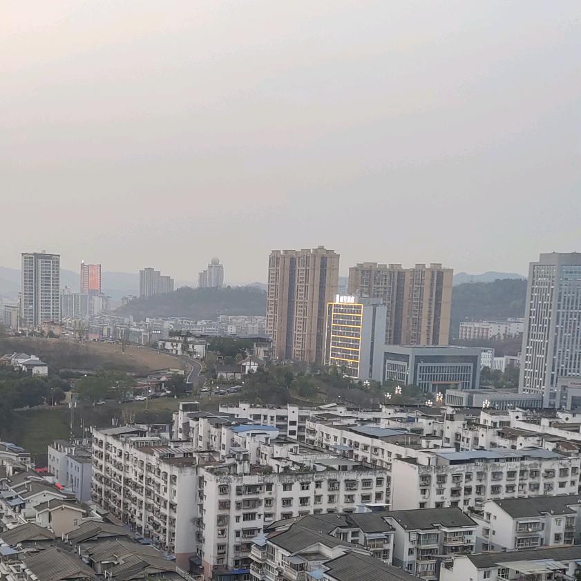 小杨（好物推荐）