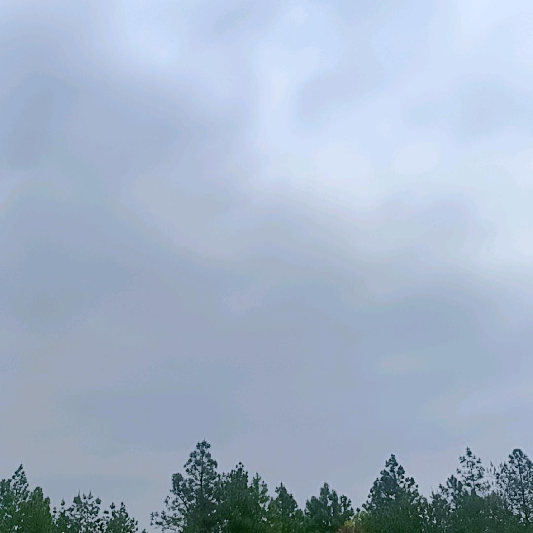 江上清风游