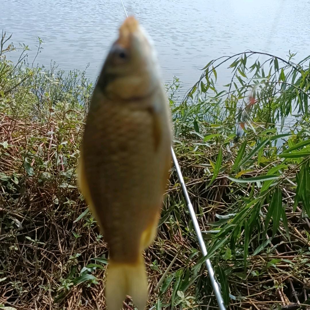 都是未知
