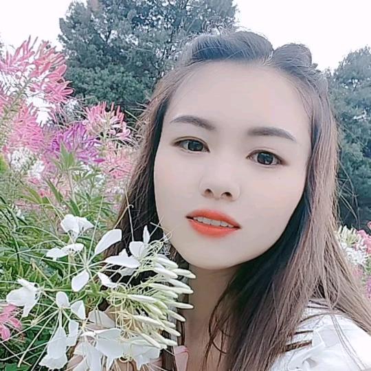 我用真心喂过狗