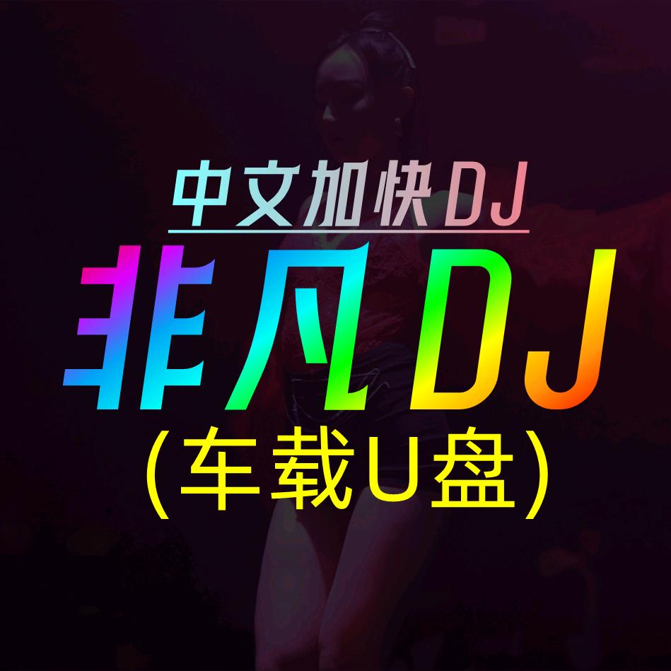 非凡Dj(车载u盘)