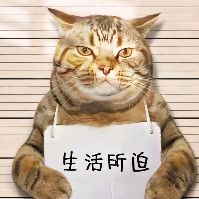 路上卡卡秀一秀