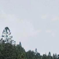 月亮山