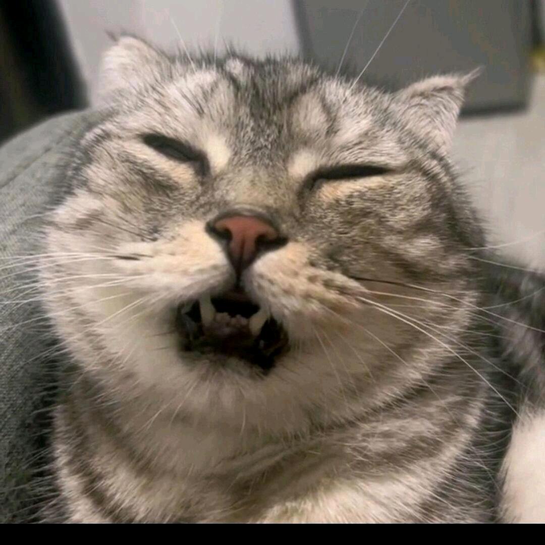 秦大志