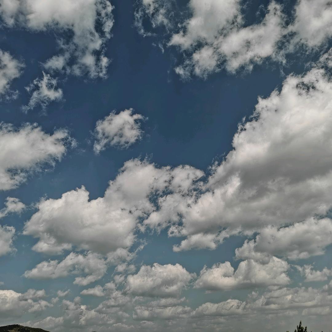 藻活力爱尔发生物科技（嘉兴）有限公司营养膳食专卖店