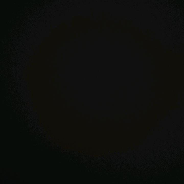 拾壹（和平精英）