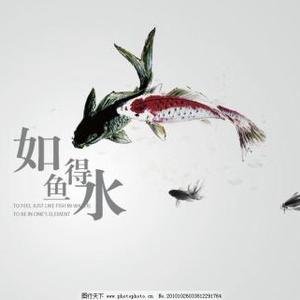 我就是你们的鱼哥哥头像