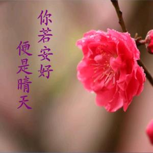 搜索 抖音号:  1916614415 时光如水,总是无言.你若安好,便是晴天!