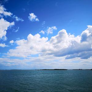 海边的墙角头像