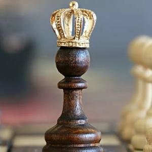 沈阳奇棋国际象棋头像