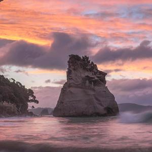 往事随风,随风去头像