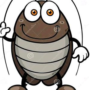 打不倒的小强头像