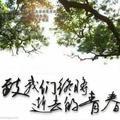 逝去的青春…头像