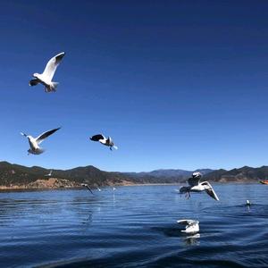 岁月静好 头像