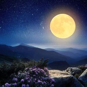 一轮明月照九州头像