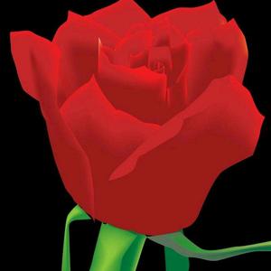 铿锵玫瑰的微信头像图片