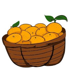 柑橘一箩筐