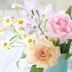 一个幸福的女人头像