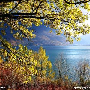 漫步人生路头像