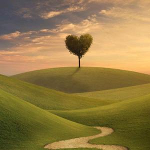 平凡的狮子座头像