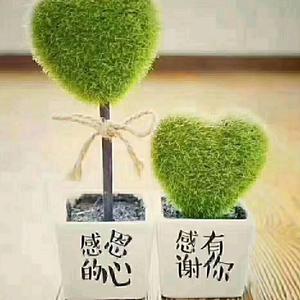 暖阳头像