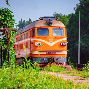 拍火车的主页 - 抖音