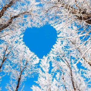 云在天空怀抱里头像