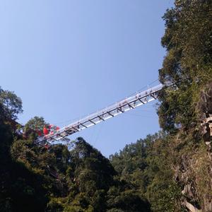 路遥知马力头像