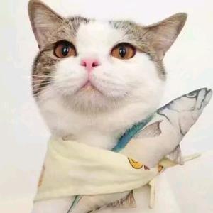 鱼95的主页 - 抖音