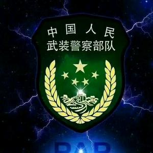 武警军徽头像图片