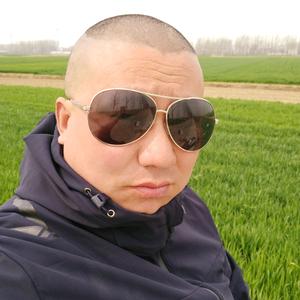 a田震头像