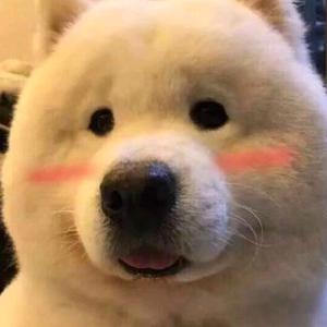 忠厚老实人头像