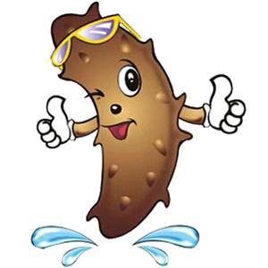 隔壁老王家的正经海参头像