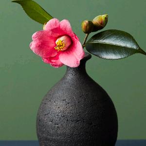 春天的森林头像