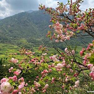 一生平安 头像