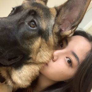 lee333333333 本人在youtube无账号 如若发现请举报 我家狗子叫龙哥