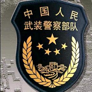 武警军徽头像图片