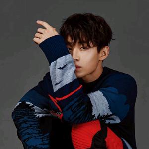 刘宪华男粉头像